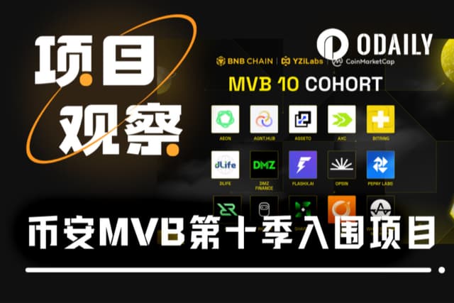 A complete review of the 15 projects shortlisted for Binance MVB Season 10