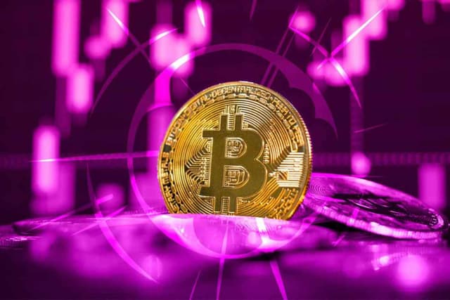 Tool Review: Which Crypto Reserve Company Data Query Tool is Best?