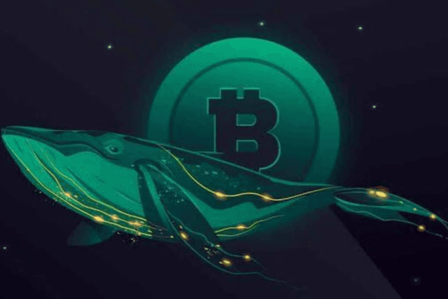 NFT whales turn to Hyperliquid: The trading journey of Huang Licheng, the big brother of Maji
