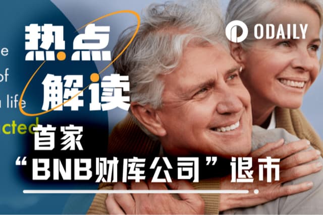 BNB reserve company WINT delists, "hoarding" strategy fails to cure all ills
