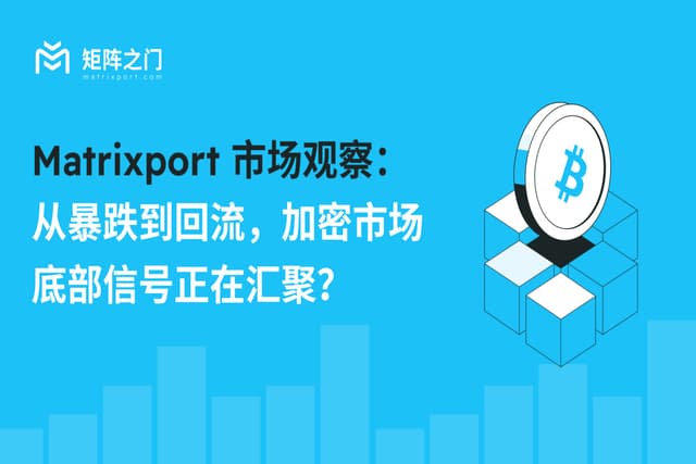 Matrixport Market Observation: From the plunge to the reflux, are the bottom signals of the crypto market converging?