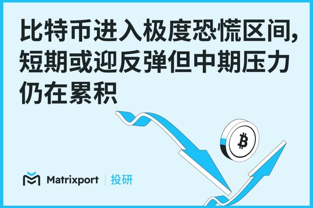 Matrixport Research: Bitcoin has entered a period of extreme panic; a short-term rebound is possible, but medium-term pressure continues to accumulate.