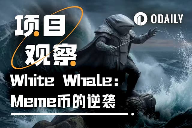 White Whale: How did a "doomed" Meme coin achieve a 500x comeback in 30 days?