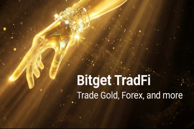 Trading in Chaos: My 2025 with Bitget