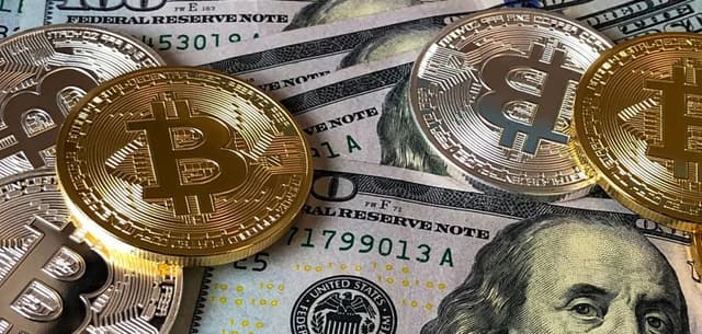 Cryptodollar: A Trojan Horse for the Crypto World?