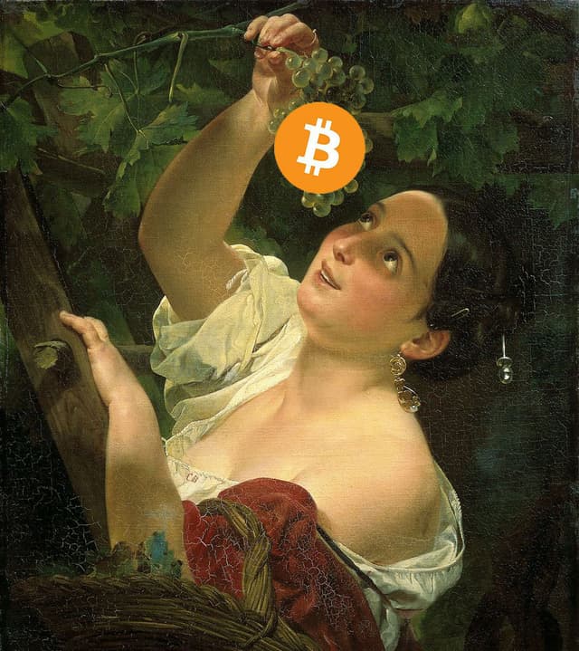 Market analysis: the general trend is in soup, and those who follow it will prosper
