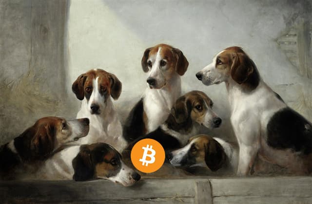 Market analysis: Bitcoin has entered a shock adjustment, and the predicted XRP market is coming as promised: