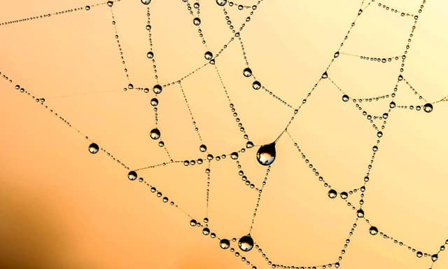 The developer once again confirmed that ETH 2.0 is expected to officially start in November