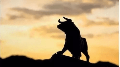 Deribit Options Market Report: 1112—Bull Spread