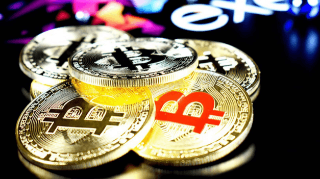 The Crypto Bull Market Survival Guide