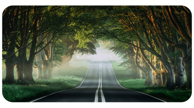 As ordinary investors, what are our advantages?