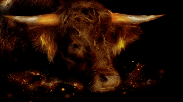 Listed companies have entered Bitcoin and Ethereum one after another. How long can this bull market last?