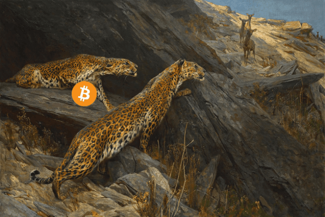 Market Analysis丨When most people thought that Bitcoin was going to fall, it ended up rising
