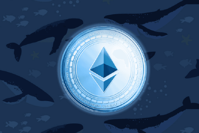 What role have Ethereum whales played in the recent correction?