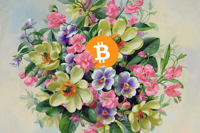 "Little lotus has just shown its sharp horns, and dragonflies have already stood on its head." Where will the market go in June?