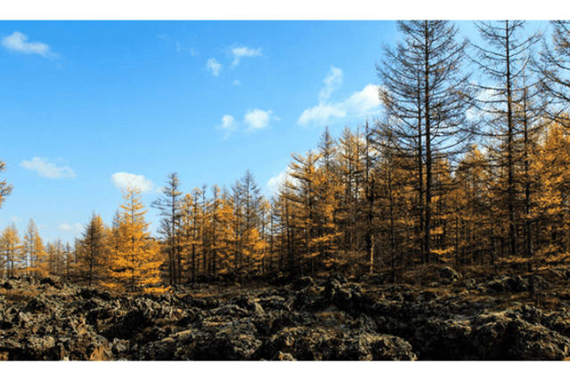 Signs the bull market is here to stay