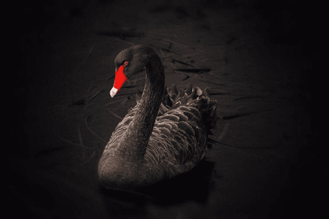 Explore whether Tether's trust crisis will become a black swan in the encryption market