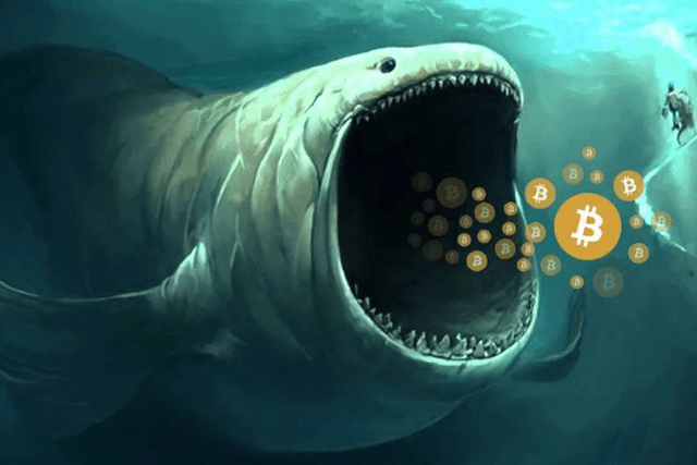 How to track whale movement through on-chain analysis?
