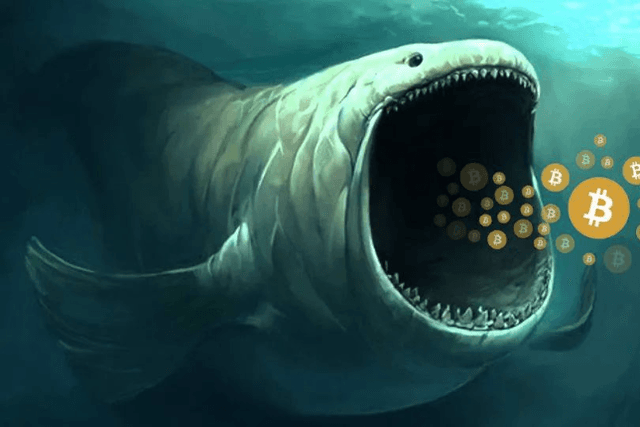 Whales dispatched to support Eth 2.0, depositing 100,000 ETH to the deposit contract address in a single day