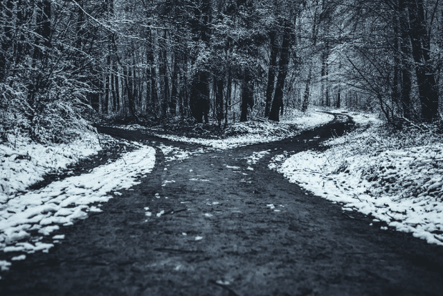 "Chain finance" or complete decentralization? This article discusses the development path of DeFi after USDC is unanchored
