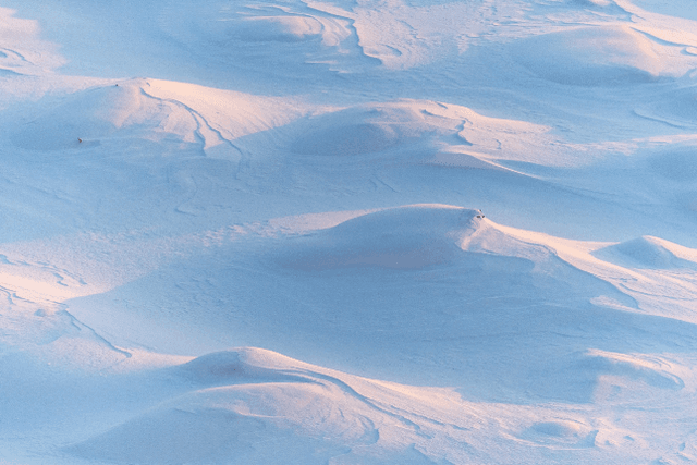 An overview of the LSD track: long slopes and thick snow, stability and high speed throughout the year