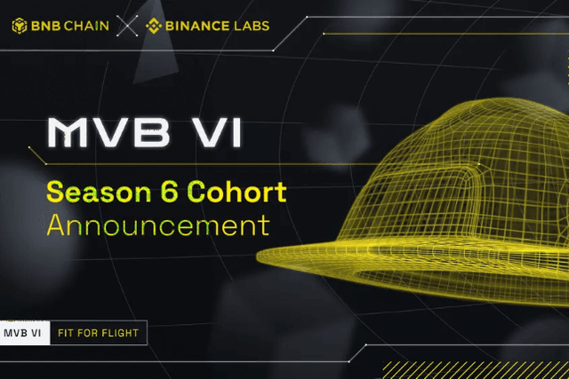 A look at the 12 shortlisted teams of the Binance Labs MVB Accelerator Season 6