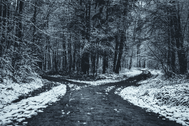 Through the Dark Forest: MEV Review and Prospects