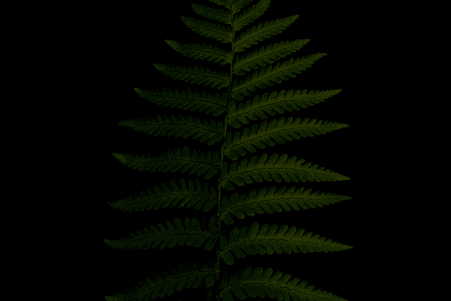 Vitalik answers everything: personal interests, AI technology and RWA, Layer2, and other cryptographic narratives.