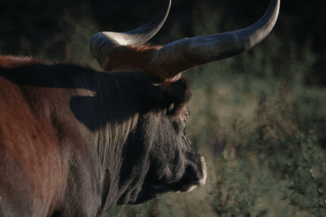 Is the encryption market going bullish? A quick look at 7 bullish indicators