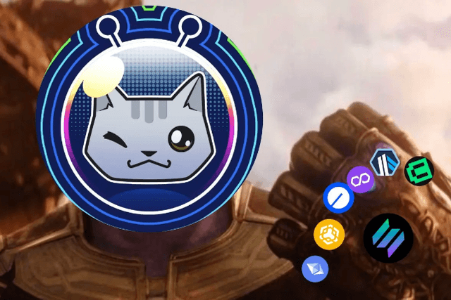 Omnicat surged 50 times. What other full-chain projects are worth paying attention to?
