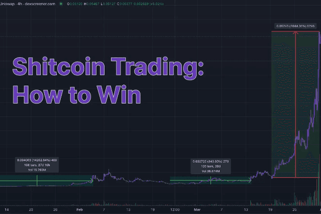 Investment Guide: 5 Trading Rules for Meme Coin