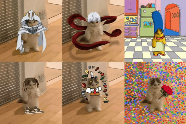 From IP disputes to resistance to VC, cat memes are playing out the "Elvis War"