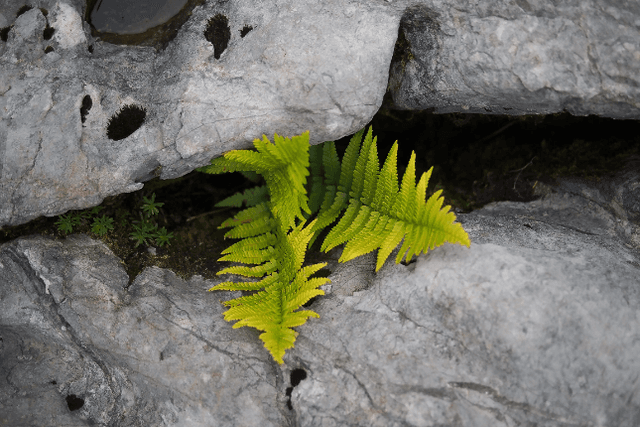 A look at seven emerging trends in the crypto market