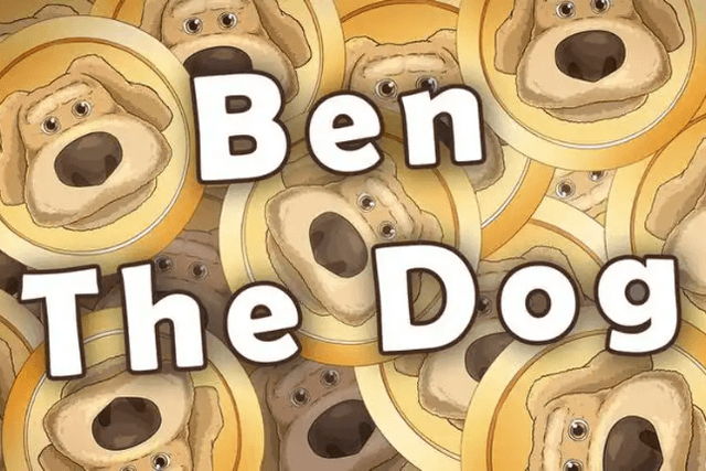The market value jumped to $80 million. Why was $BENDOG able to recover again?