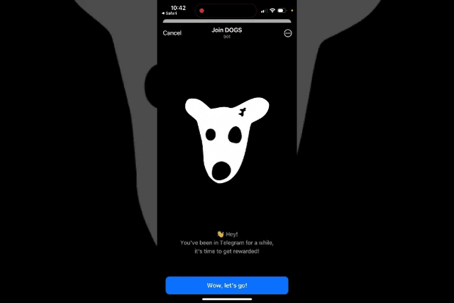 With 1 million fans, what is the origin of the Ton ecosystem Meme DOGS that suddenly became popular?
