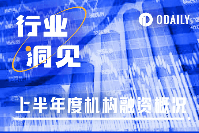 Analysis of institutional investment data and logic in the first half of the year: Prior to large-scale adoption and real bull market layout, the founding team's capabilities are most important