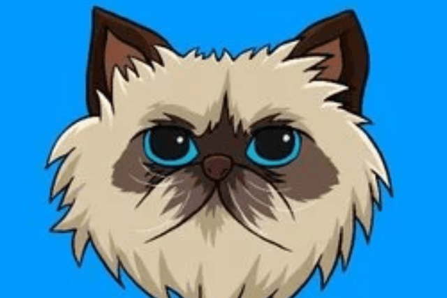 The Base Meme project Mister Miggles suddenly became popular with a maximum return of over 900 times in just three days after its launch.
