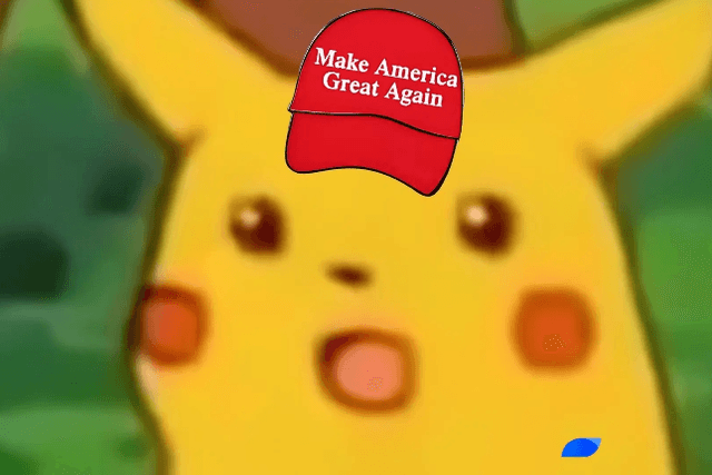 A review of MEME coins worth paying attention to during the US election