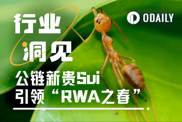 As the L1 battle continues, Sui, the new public chain leader, leads the "RWA Spring"