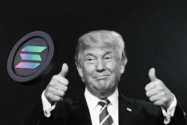 Solana Ecosystem Linkage Behind the TRUMP Token: Who Takes the Huge Traffic?