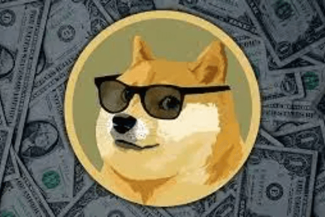 One thought about VC, one thought about Meme, the next wave in the crypto world, left or right?