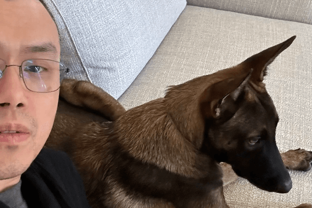 Replay of CZ's Dog: A pocket of "broccoli" and the MEME vanity fair controlled by giant whales