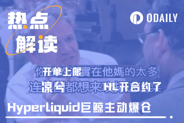 Why did the Hyperliquid whale close its positions by itself? Who is bearing the millions of dollars in losses?