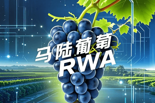 Detailed interpretation of the first RWA project in China - Malu Grape