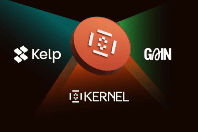 KernelDAO launches KERNEL token to boost the development of BNB Chain re-staking ecosystem