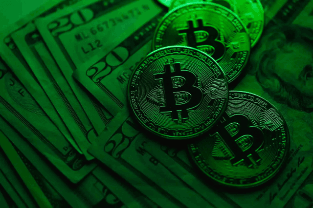 Bear market survival: Waitlist: Ten early-stage project qualifications worth applying for recently