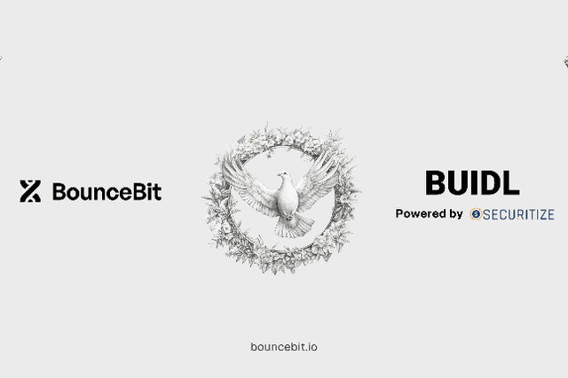 BounceBit and BlackRock BUIDL jointly launched RWA+CeDeFi structured income products to promote a new stage of RWA application scenarios