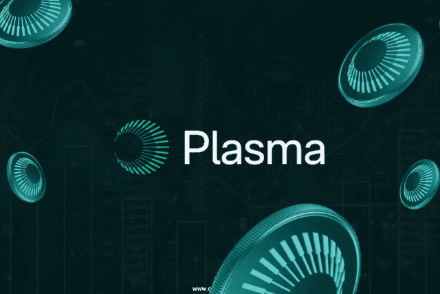 XPL public sale was snapped up by big investors, why did Plasma become the new favorite in the market?