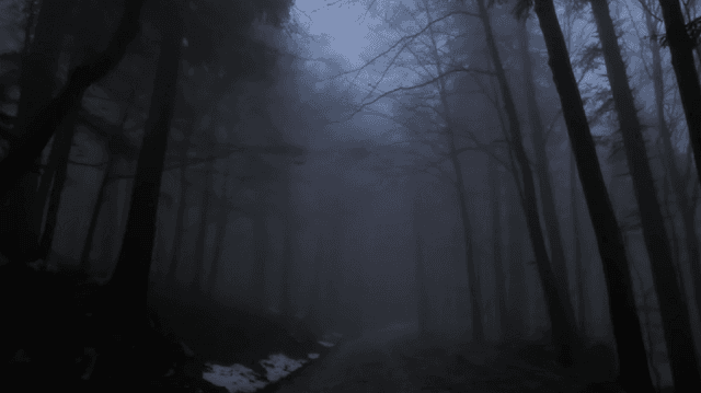 Opinion: What do you think of Ethereum's dark forest law?