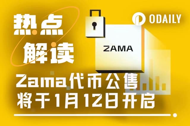 Zama公售太複雜？一文讀懂封荷蘭拍玩法